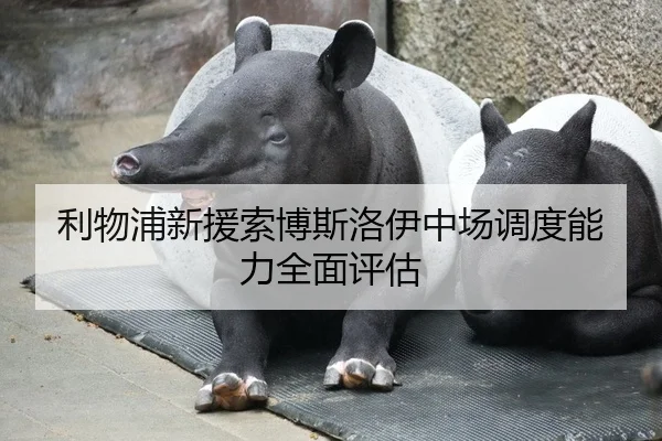 利物浦新援索博斯洛伊中场调度能力全面评估